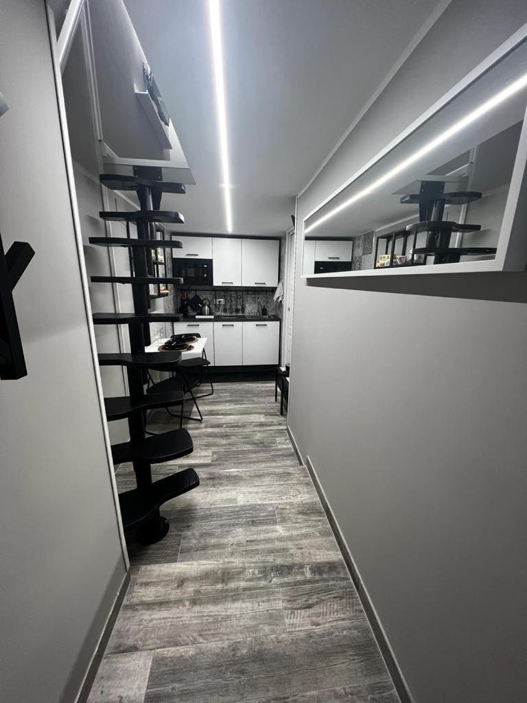 Leopardi House 3 Apartment *